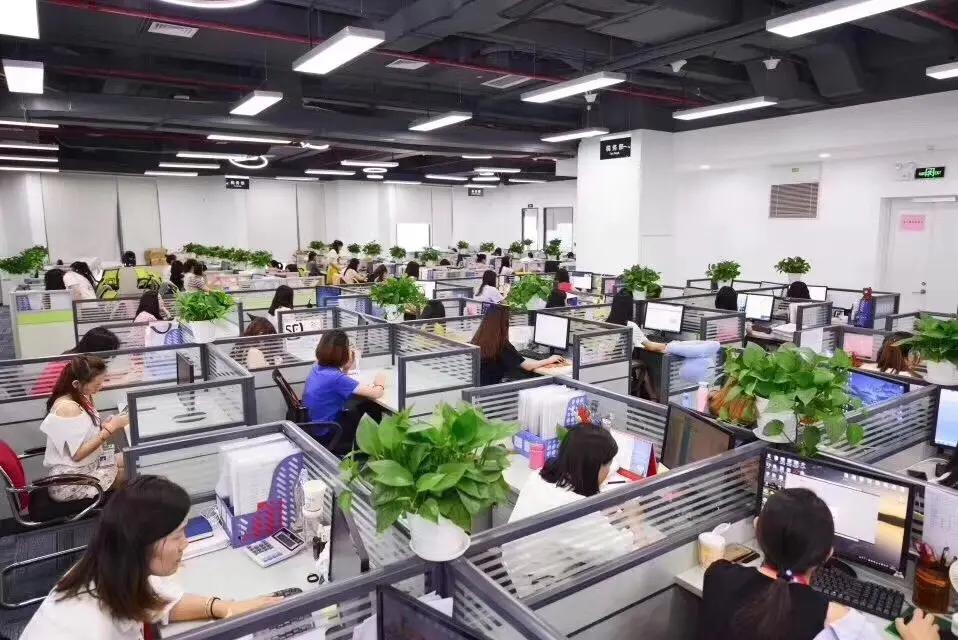 Shenzhen Chuangjia Micro Technology Co., Ltd.