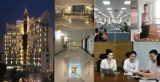 VIVA HOLDING INVESTMENT CONSULTING COMPANY LIMITED