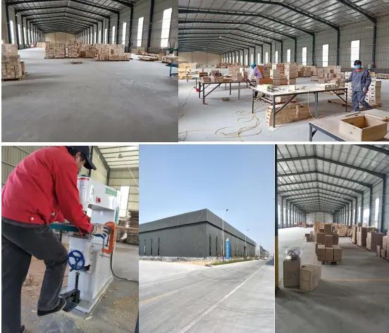 Shandong Junji Trading Co., Ltd.