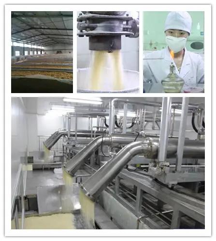 Xiamen Hyfine Gelatin Co., Ltd.