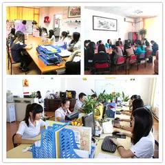 Dongguan Farvision Crafts Co., Ltd.