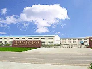 Qingdao Jinhuaxing Sports Products Co., Ltd.