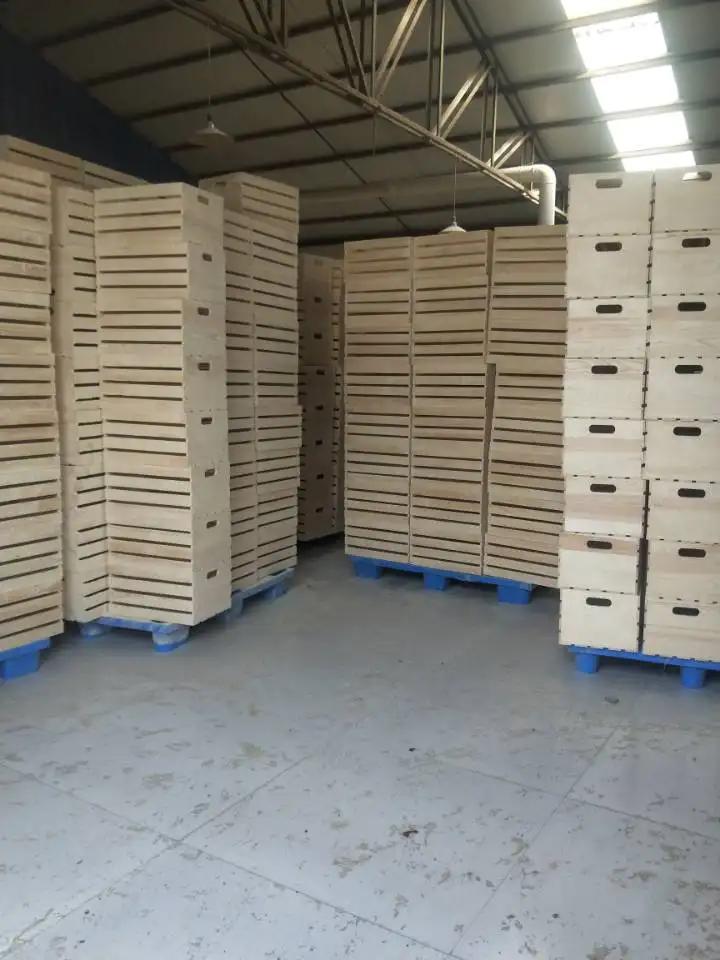 Supplier