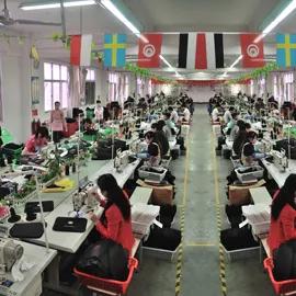 Fujian Paxdun Import And Export Co., Ltd.