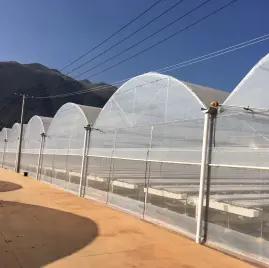 Chongqing Honyu Global Agri-Tech Co., Ltd.
