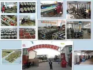 Supplier