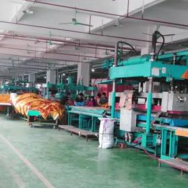 Dreamer Industry (dongguan ) Ltd.