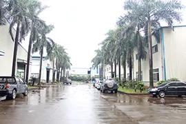 Guangdong LINA Industrial Co LTD