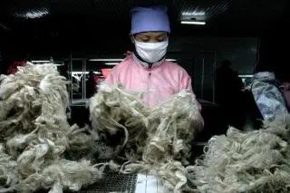 Supplier