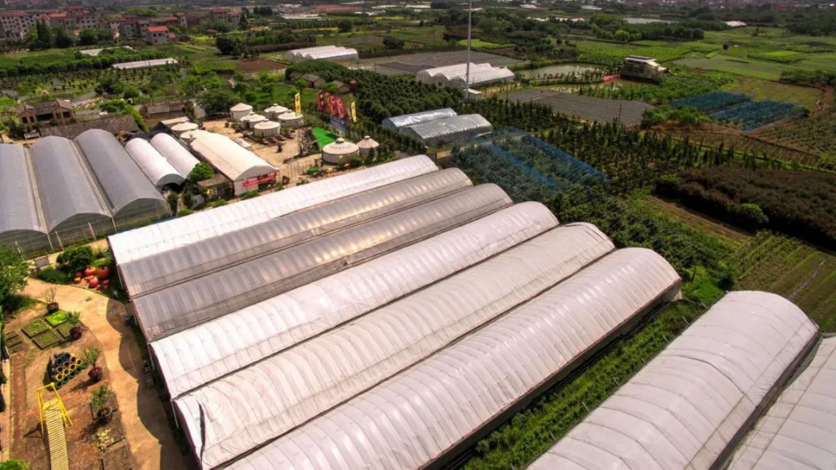 Dongguan Best Technology Co., Ltd.