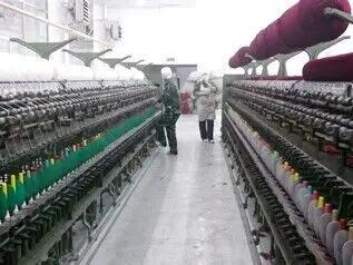 Yiwu Wingtu Import & Export Co., Ltd.