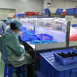 Foshan Benbi Technology Co., Ltd.