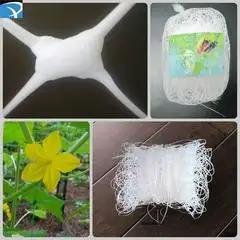 Supplier