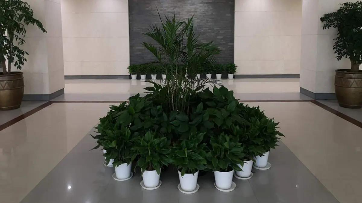 Sa Uppsea Shanghai Importing & Exporting Co., Ltd.