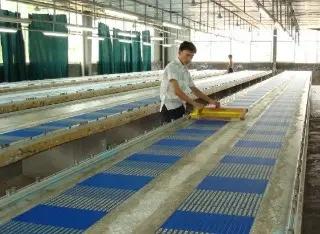 Fuzhou Xiangxing Textile Co., Ltd.