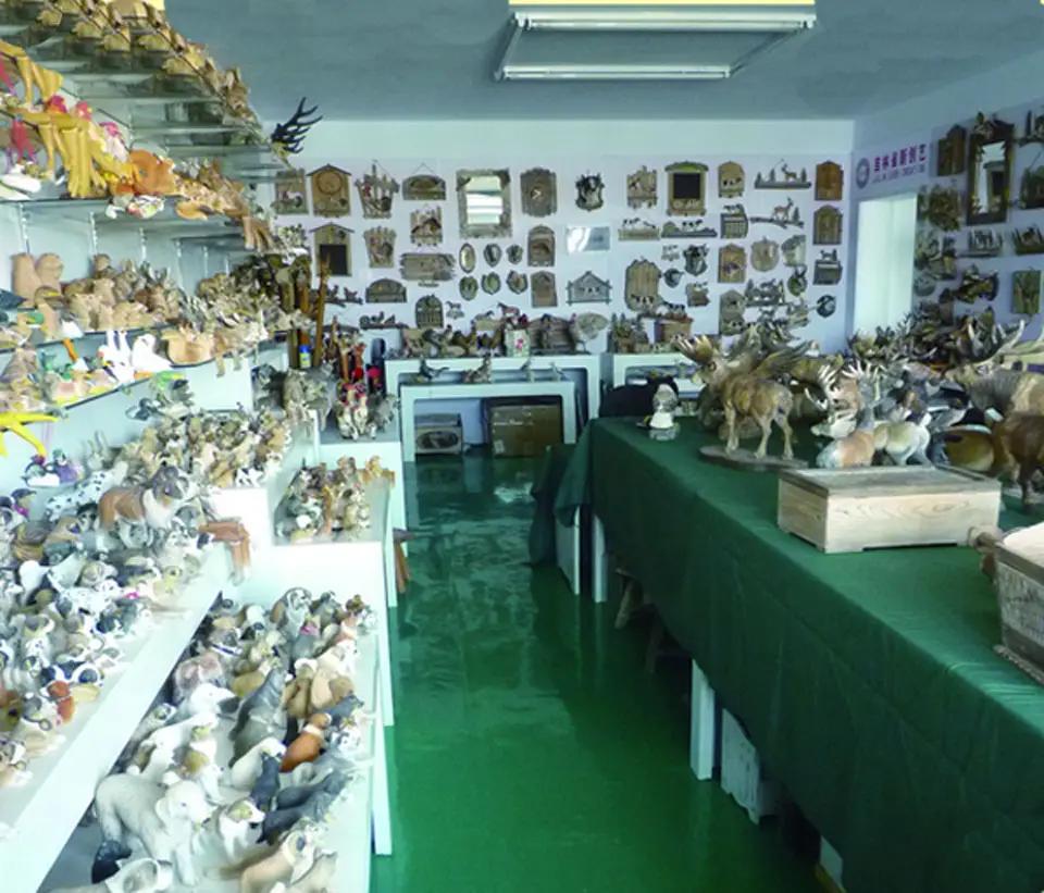 Jilin Province Ever Creation Technology Co., Ltd.