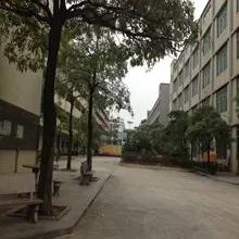 Dongguan Bayaya Board Game Co., Ltd.