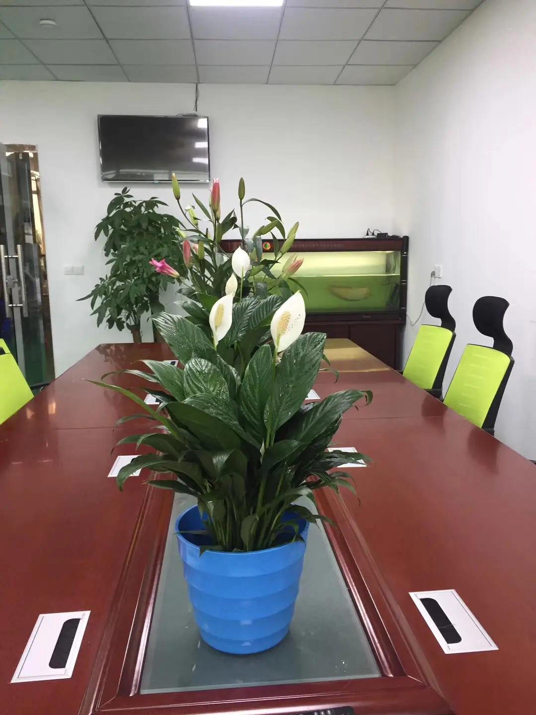 Fuzhou Duoguo Arts And Cafts Co., Ltd.