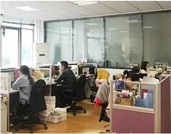 Wenzhou Kingvision Optical Co., Ltd.