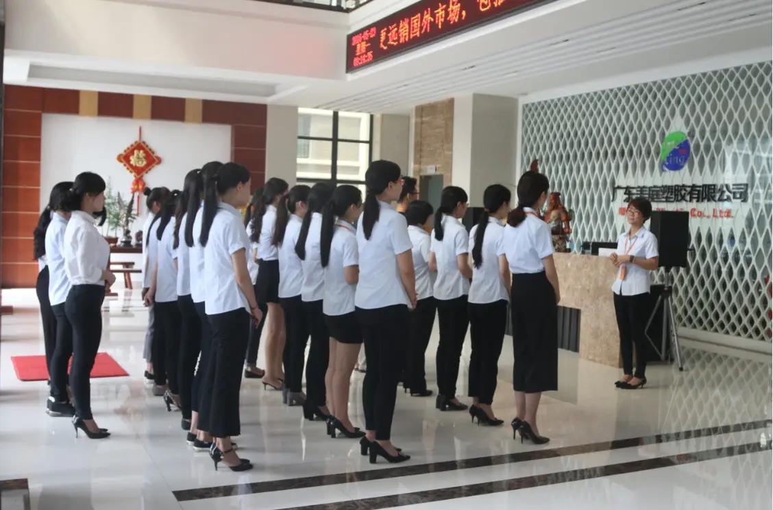 Guangdong Meiting Plastic Co., Ltd.