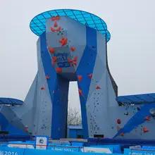 Chongqing Olympic Stadium Development Co., Ltd.