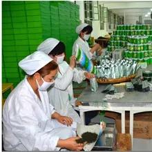 Supplier