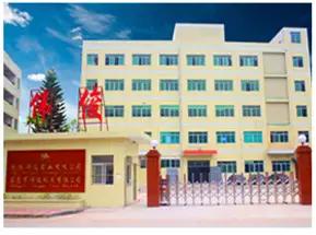 Dongguan Weijun Toy Ltd.