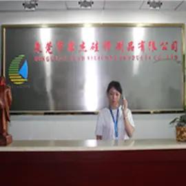 Dongguan Lead Silicone Products Co., Ltd.