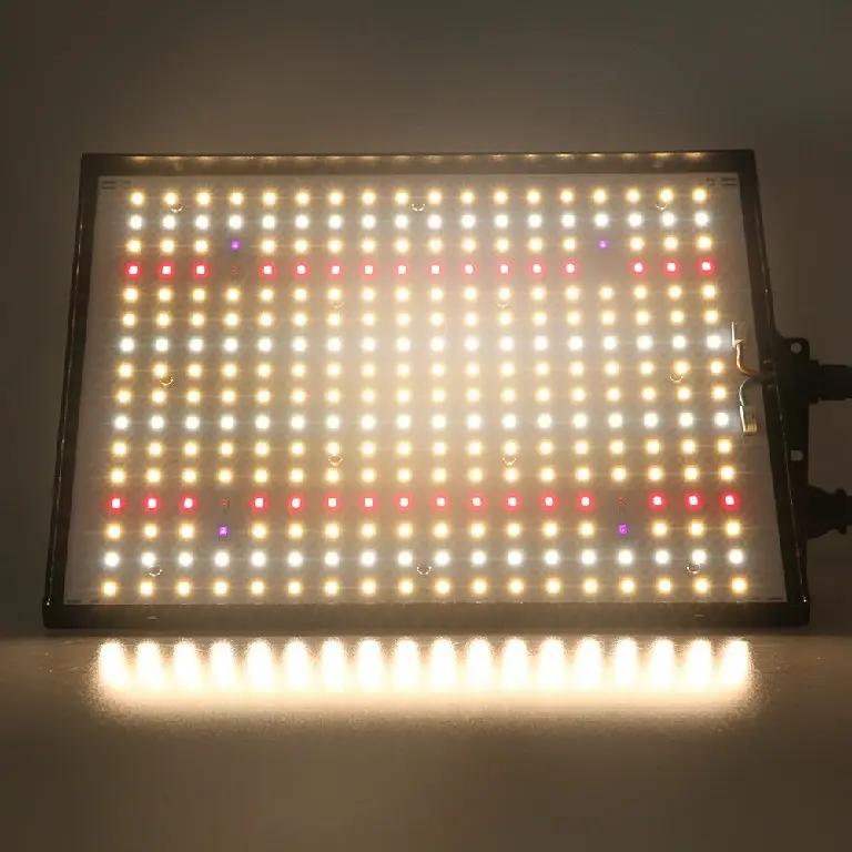 Sunplus Led Technology Co., Ltd.