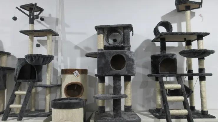 Hangzhou Rena Pet Products Co., Ltd.
