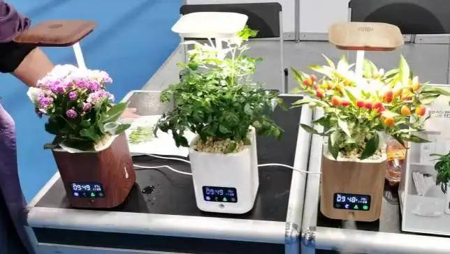 Shenzhen Avatar Optoelectronic Technology Co., Ltd.