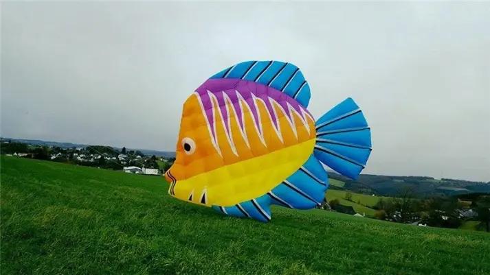Weifang Kaixuan Kite Manufacture Co., Ltd.