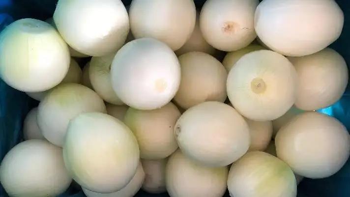 Shandong Sinofarm Food Co., Ltd.