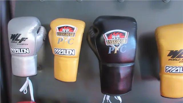 Shijiazhuang Wolon Sports Goods Co., Ltd.