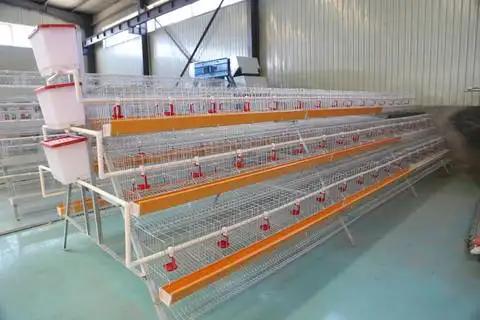 Supplier