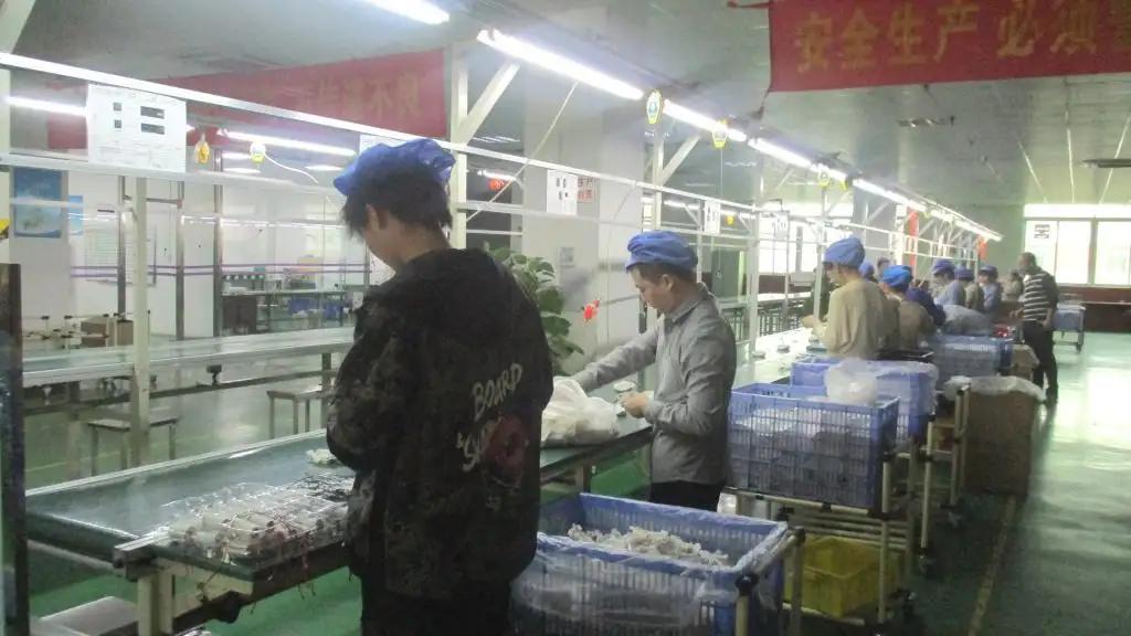 Supplier