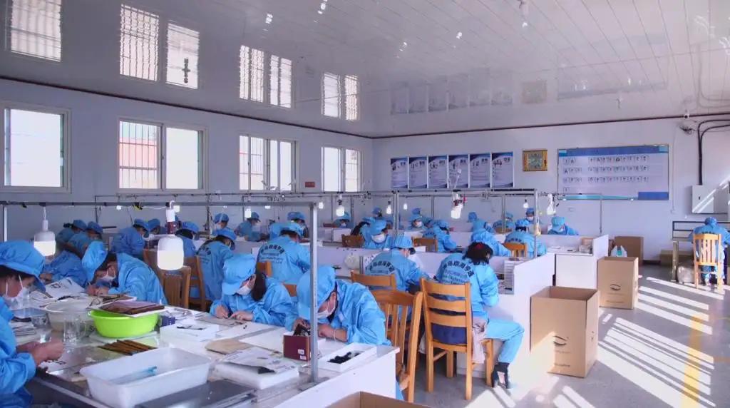 Qingdao Dinghai Hengtong Import And Export Co., Ltd.