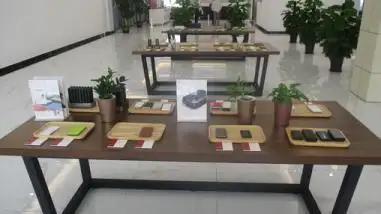Zhongshan Worth Electronic Technology Co., Ltd.