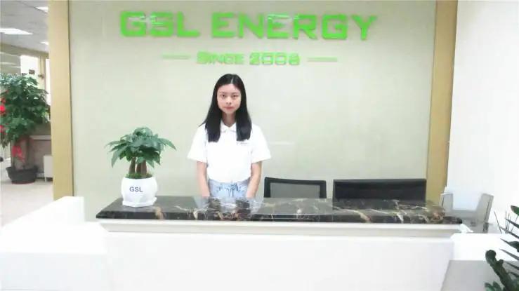 Shenzhen GSL Energy Co., Ltd.