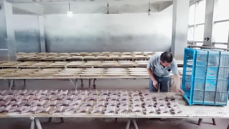 Supplier