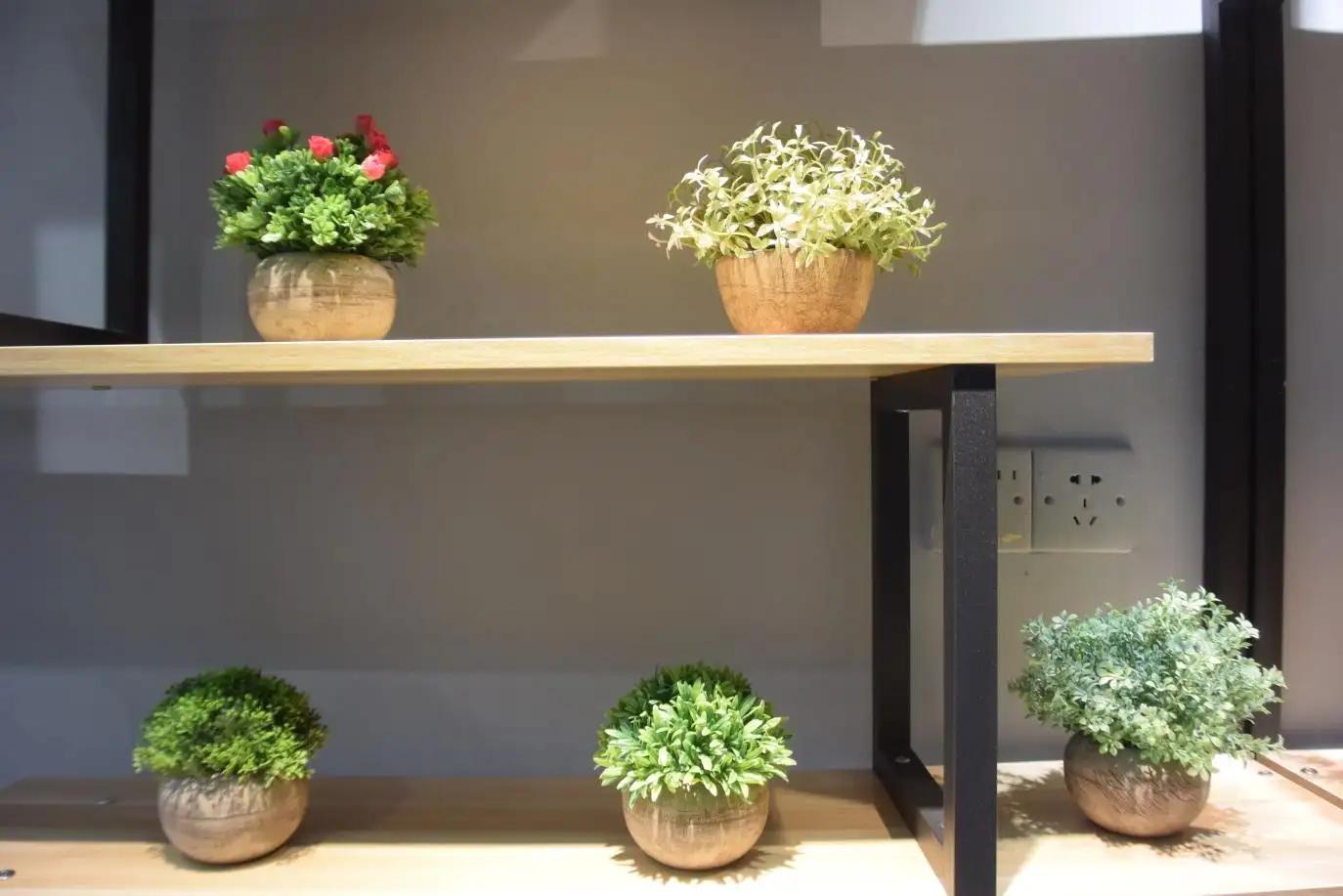 Shantou Tizen Homeware Co., Ltd.