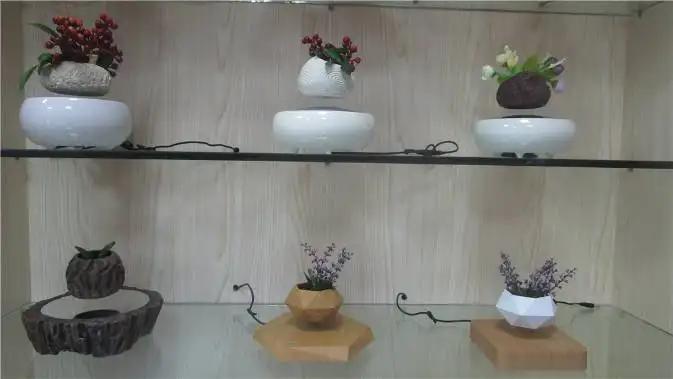 Supplier