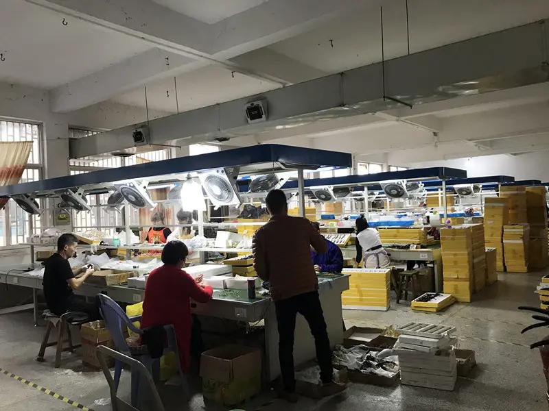 Yiwu Jiuling Electronic Commerce Co., Ltd.