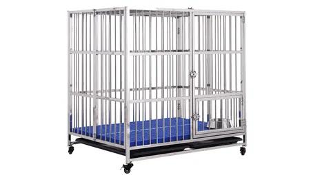 Shanghai Lingyu Pet Products Co., Ltd.