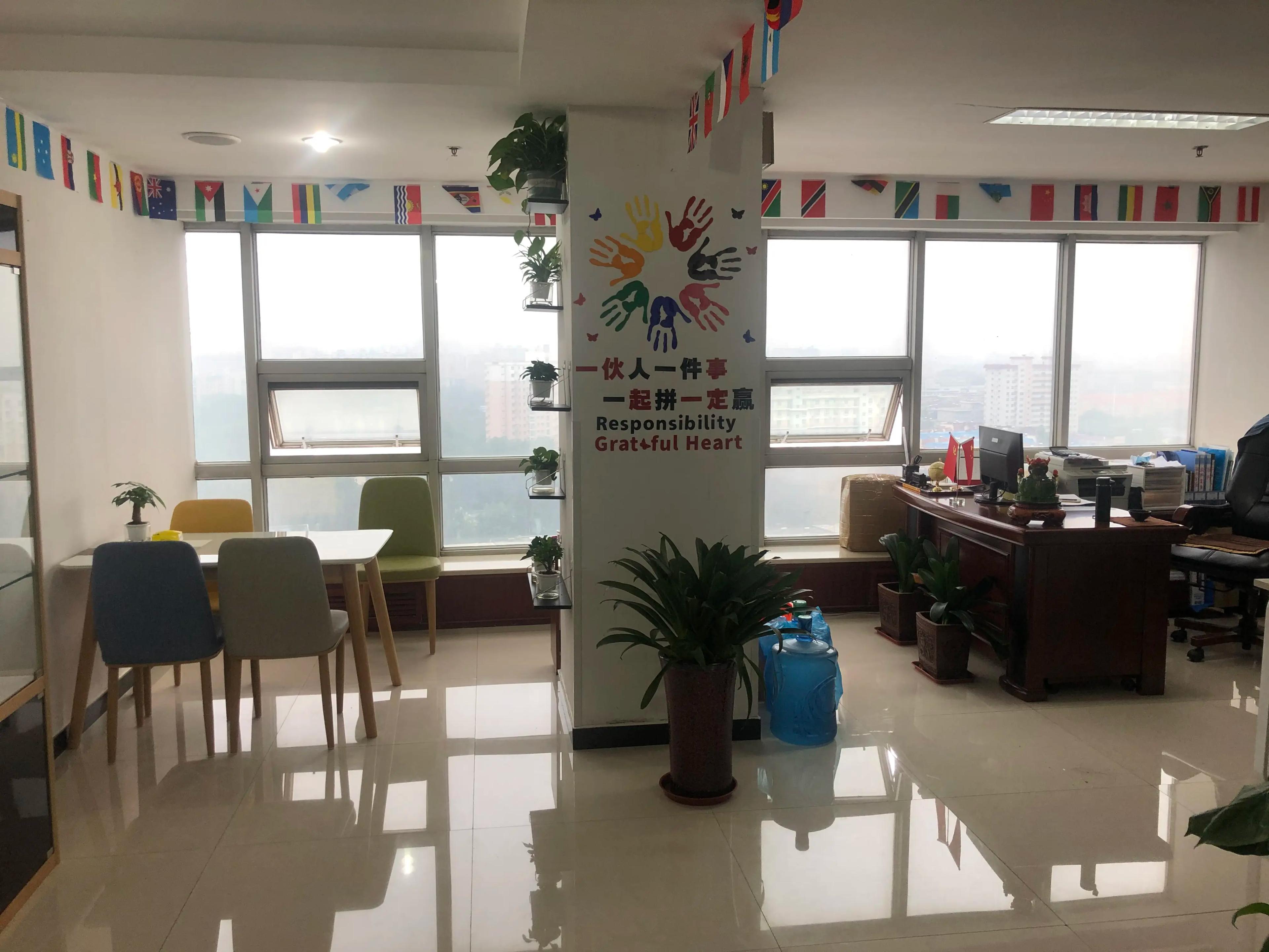 Shijiazhuang Lingjie Trading Co., Ltd.