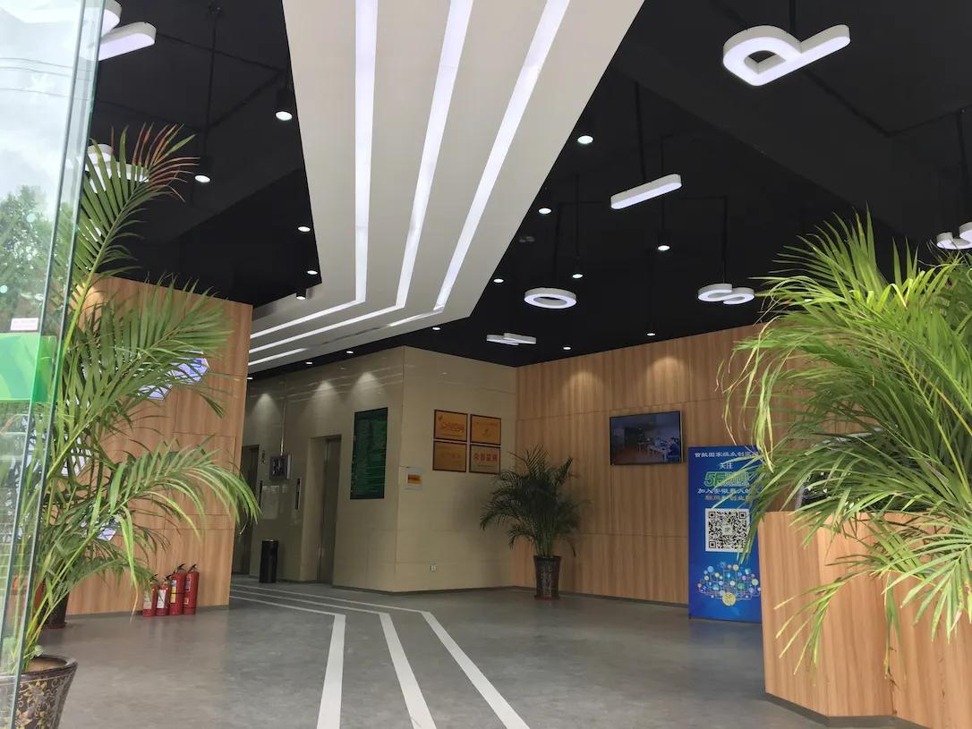 Phoenix Tree (Hefei) Industrial Co., Ltd.