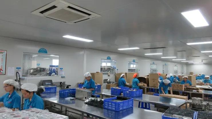Guangzhou Elov Cosmetics Co., Ltd.