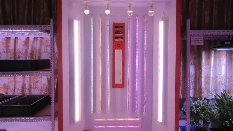 Guangdong Winlight Energy-Saving Photoelectric Co., Ltd.
