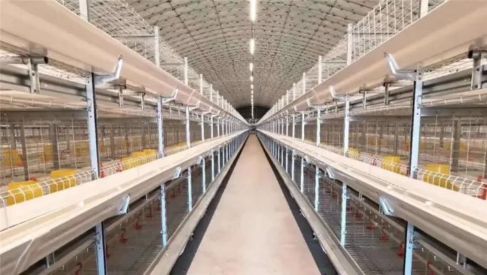 Hebei Ruikang Animal Husbandry Equipment Co., Ltd.