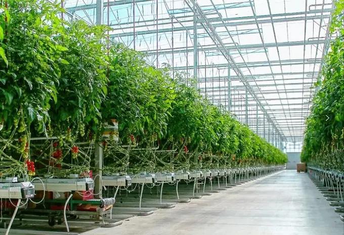 Supplier